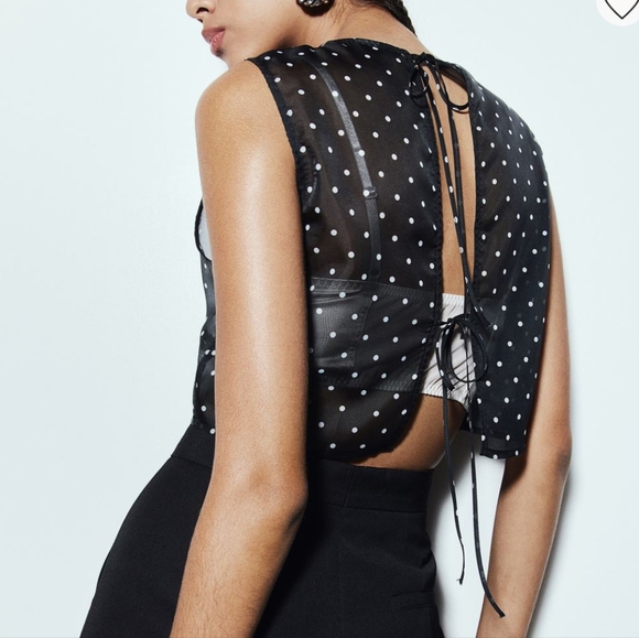 Organza Sleeveless Short Crop Top with Open Back - Picture 3 of 5